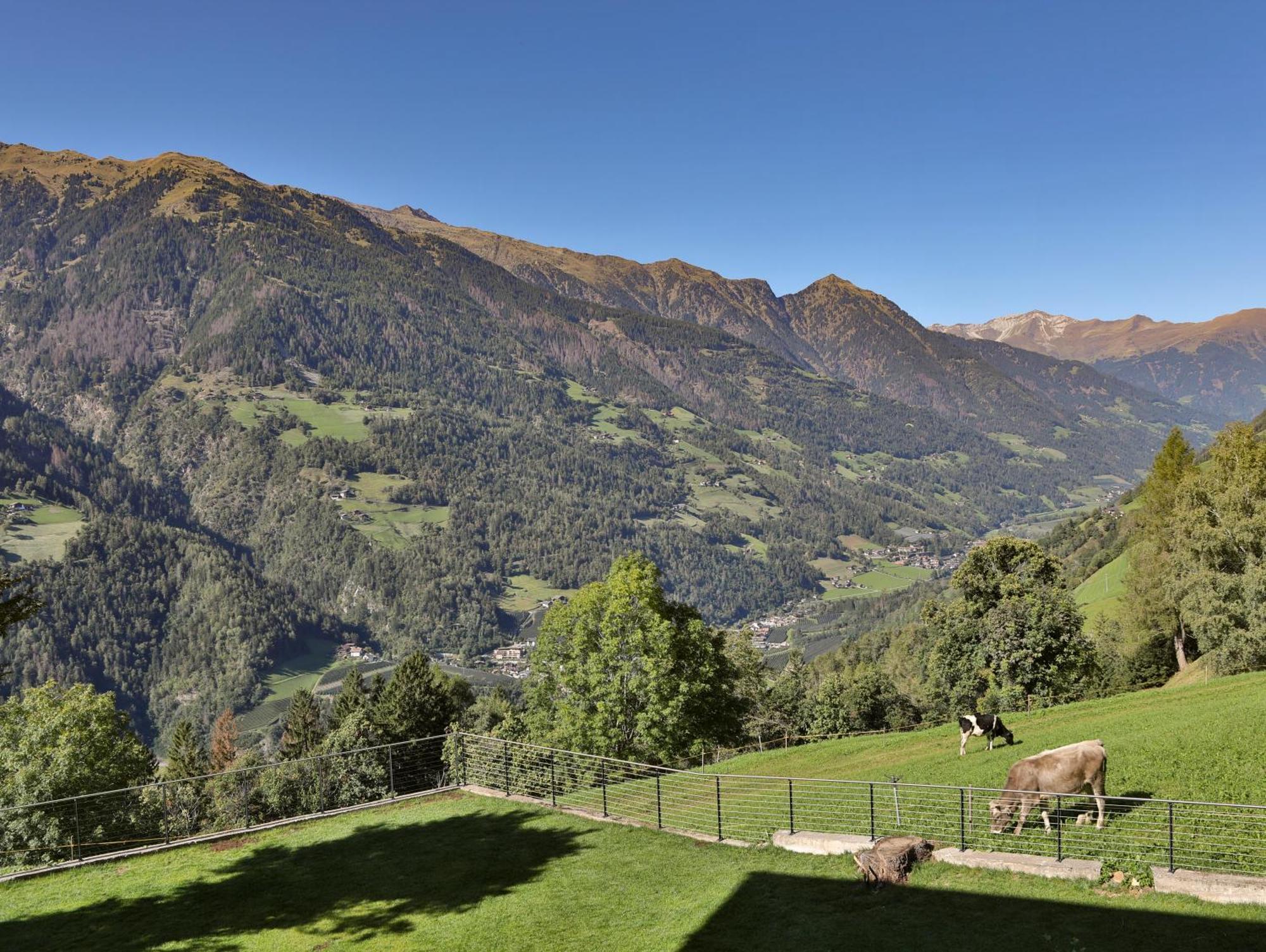 Natur Residence Kaiser Hans Schenna Exteriér fotografie