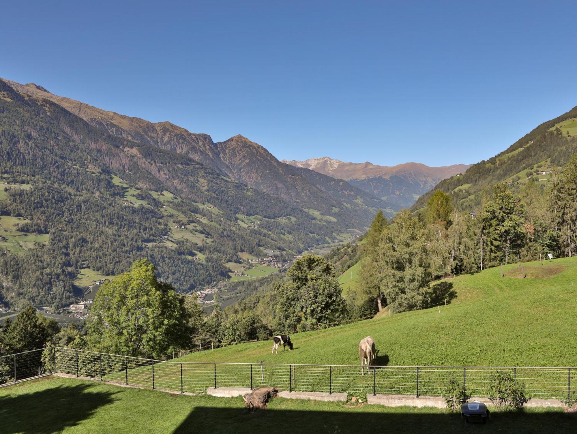 Natur Residence Kaiser Hans Schenna Exteriér fotografie